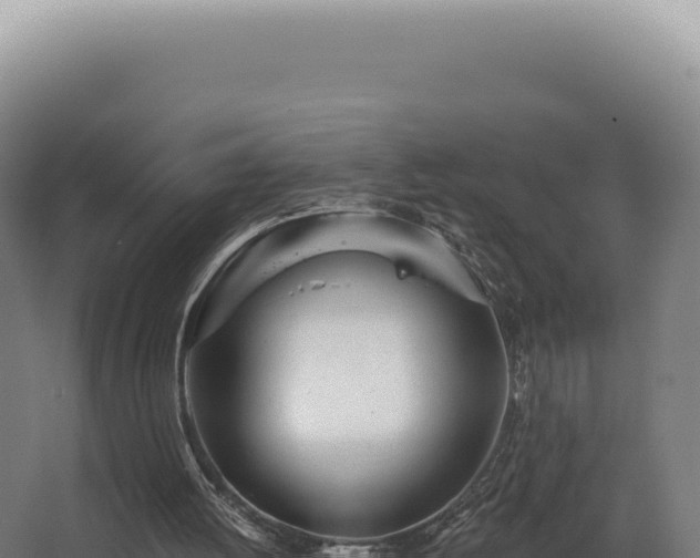 X0000068310052200604281746