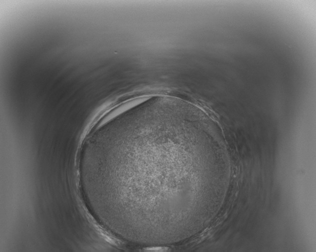 X0000068310053200604281746