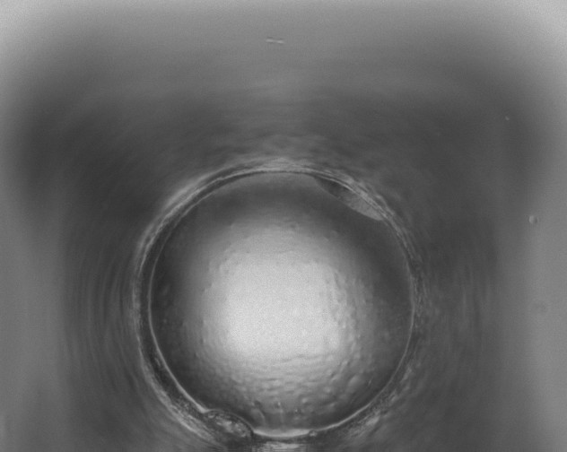 X0000068310055200604281746