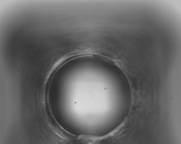 X0000068310056200604281746