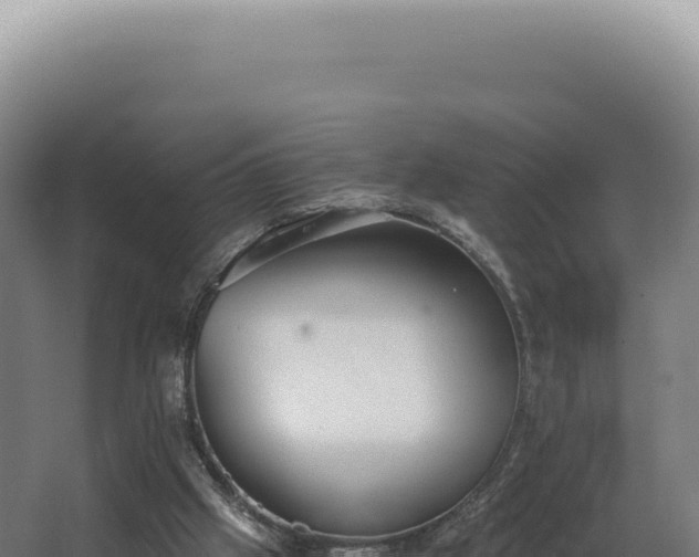 X0000068310057200604281746