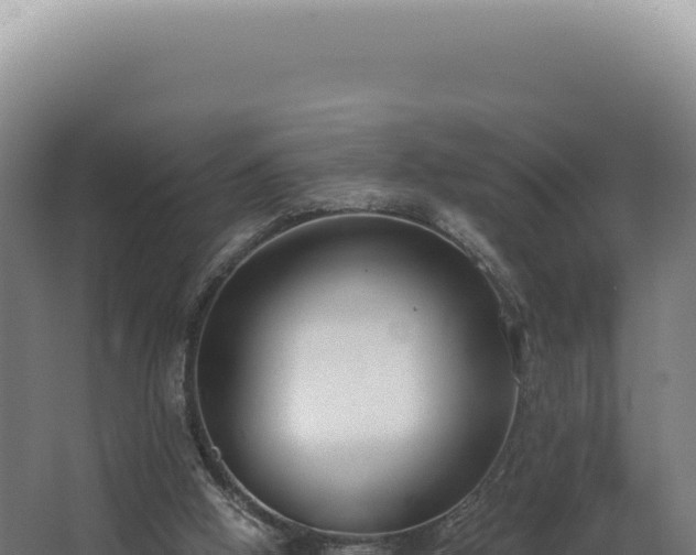 X0000068310058200604281746