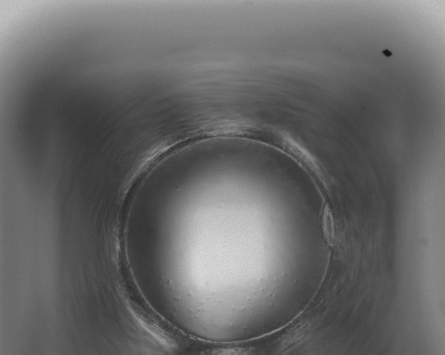 X0000068310059200604281746