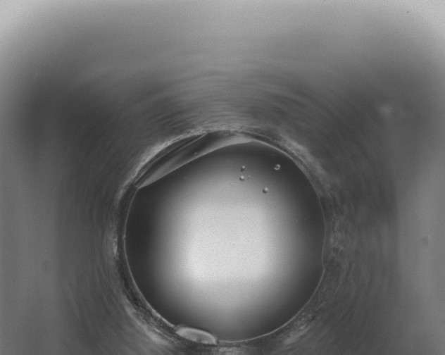 X0000068310060200604281746