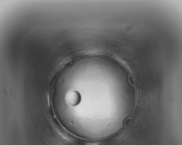 X0000068310061200604281746