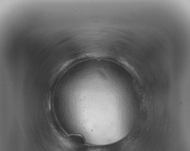 X0000068310062200604281746