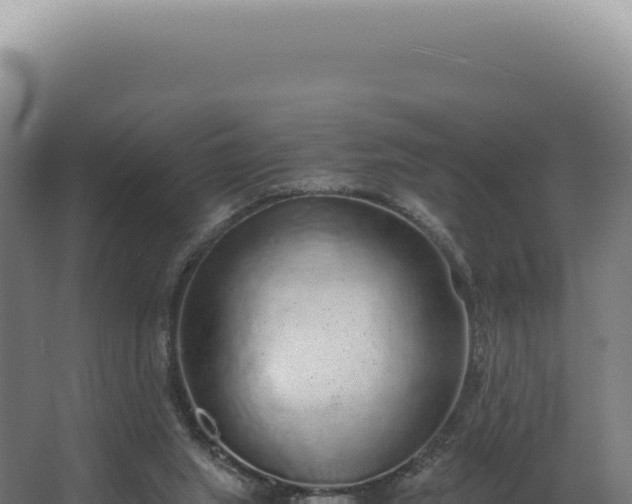 X0000068310063200604281746