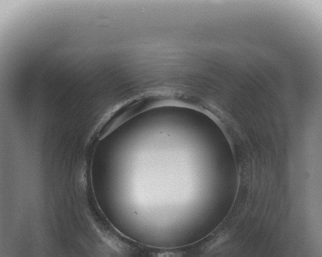 X0000068310064200604281746