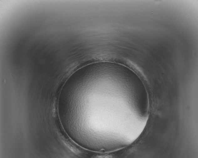 X0000068310065200604281746