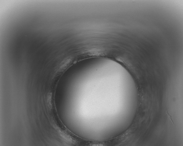 X0000068310066200604281746