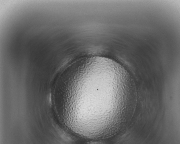 X0000068310067200604281746