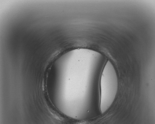 X0000068310068200604281746