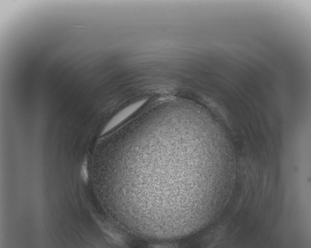 X0000068310069200604281746