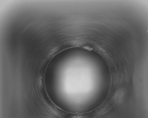 X0000068310071200604281746