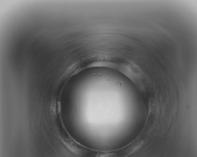 X0000068310072200604281746