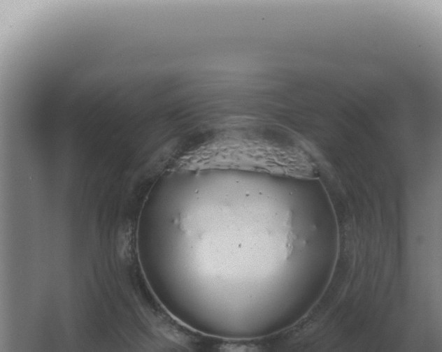 X0000068310073200604281746