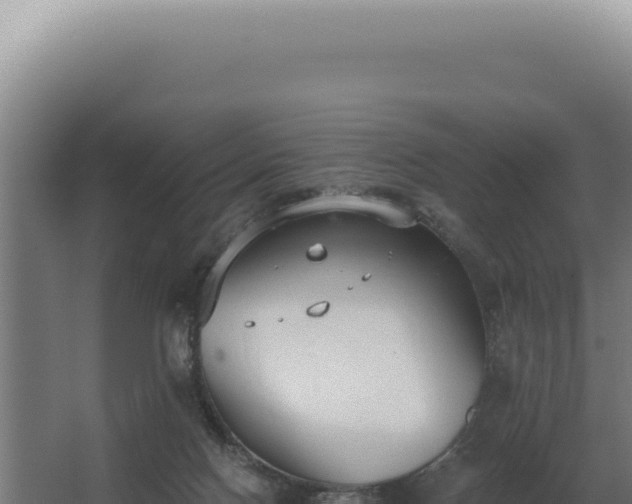 X0000068310074200604281746