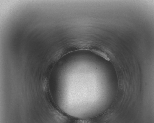 X0000068310077200604281746