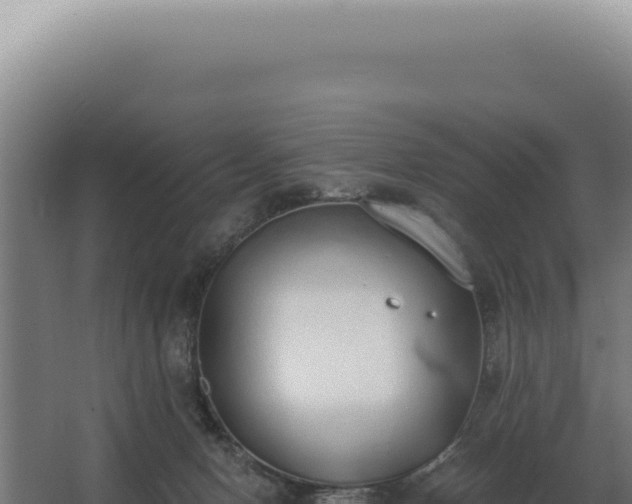 X0000068310078200604281746