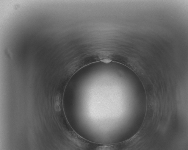 X0000068310082200604281746