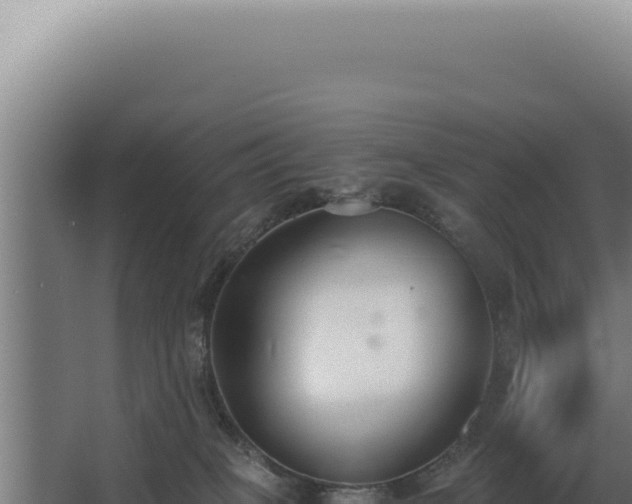 X0000068310085200604281746