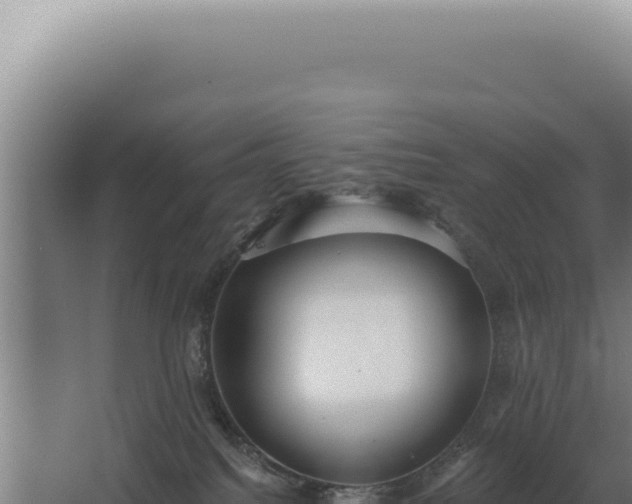 X0000068310088200604281746