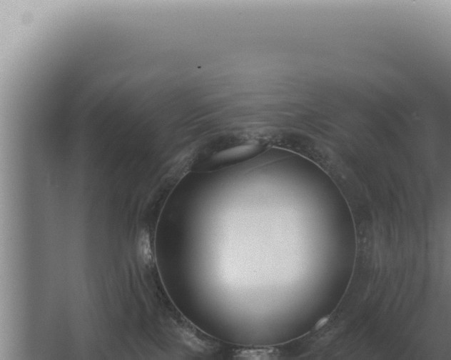 X0000068310089200604281746