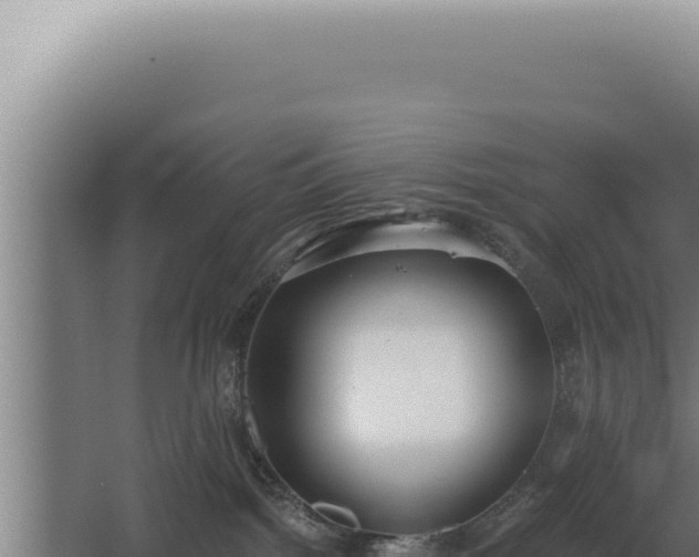 X0000068310092200604281747