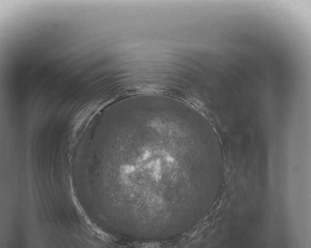 X0000068310097200604281746