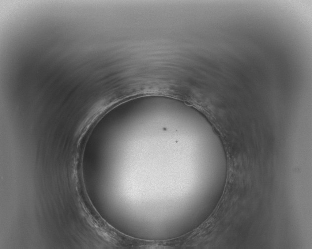 X0000068310098200604281746