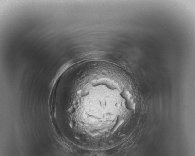 X0000068310099200604281746