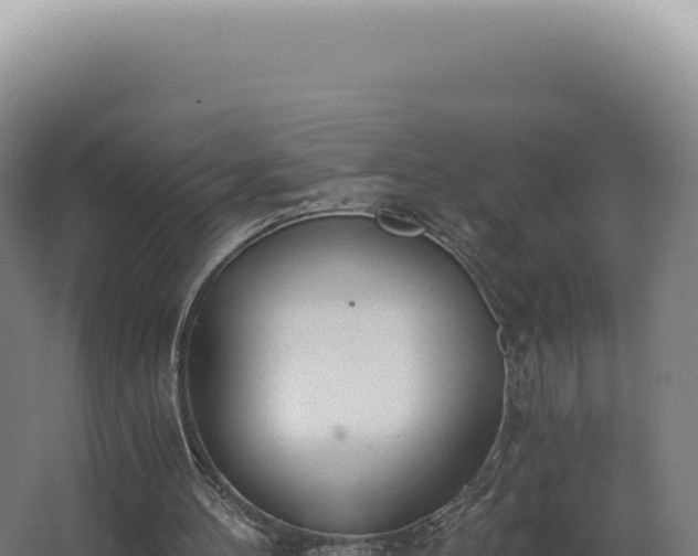 X0000068310100200604281746