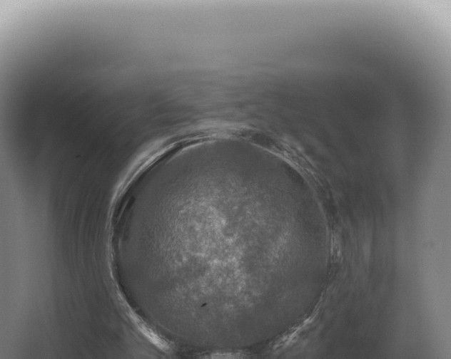 X0000068310101200604281746