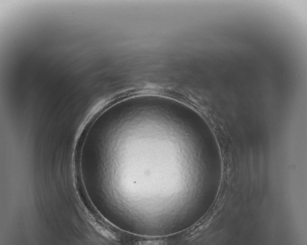 X0000068310102200604281746