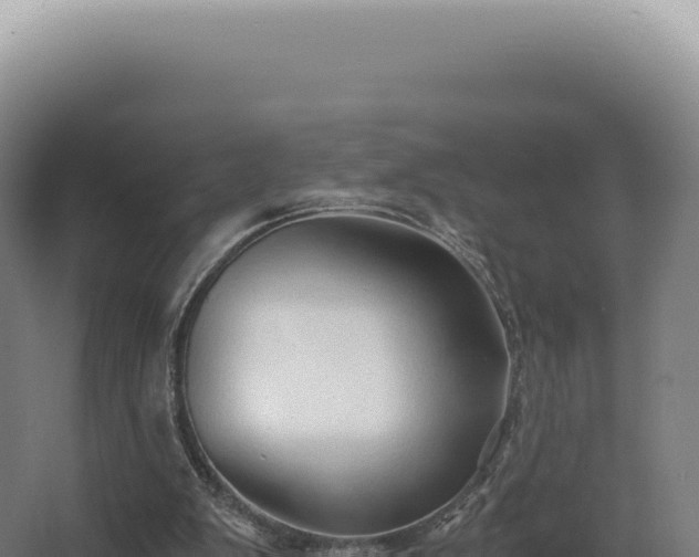 X0000068310103200604281746