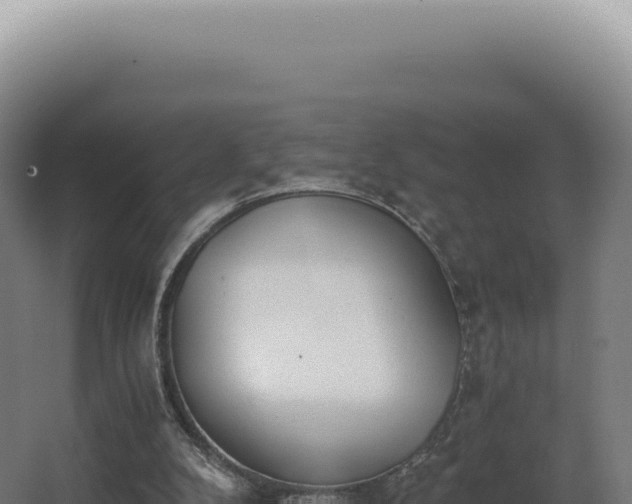 X0000068310104200604281746