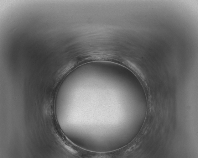 X0000068310105200604281746