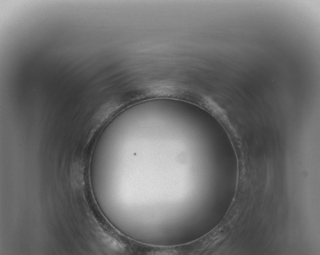 X0000068310106200604281746