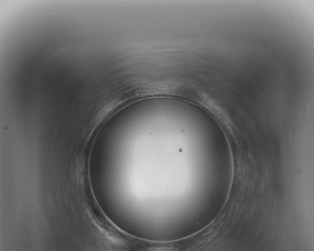 X0000068310107200604281746