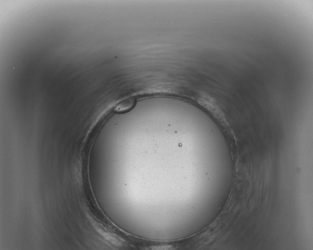 X0000068310108200604281746