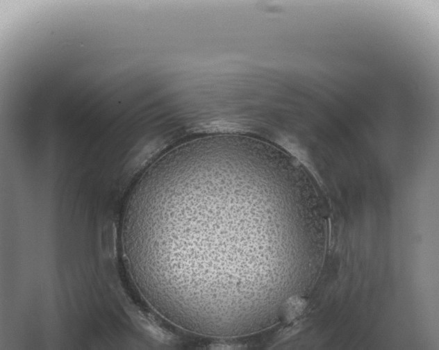 X0000068310109200604281746