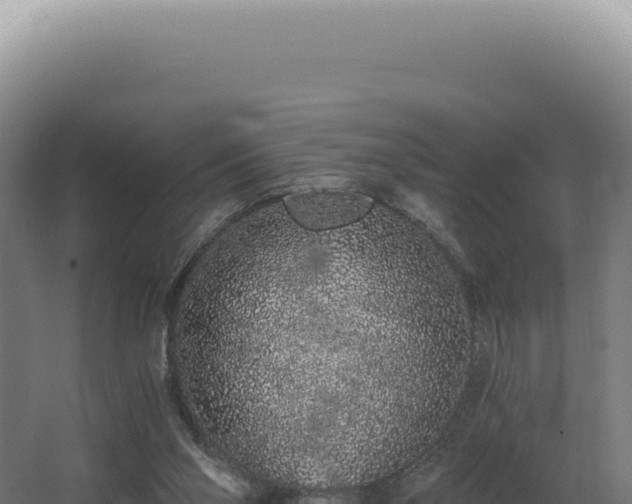 X0000068310110200604281746