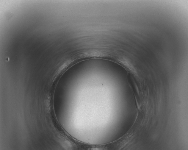 X0000068310111200604281746