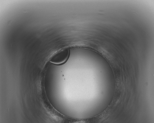 X0000068310112200604281746