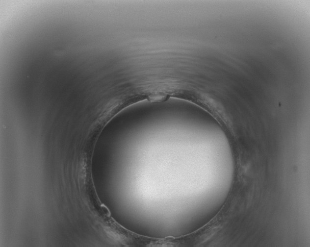 X0000068310113200604281746