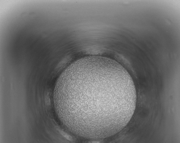 X0000068310114200604281746