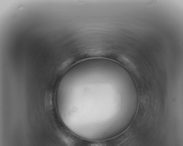 X0000068310115200604281746