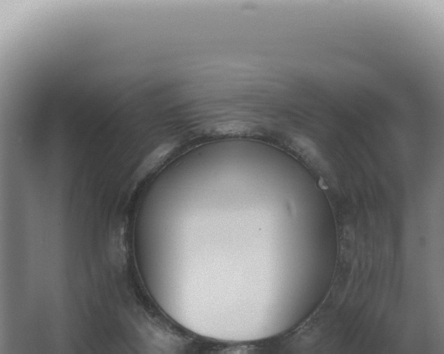 X0000068310116200604281745