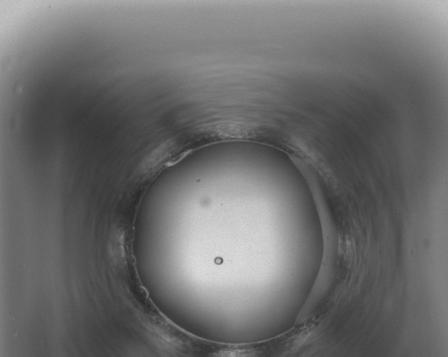 X0000068310117200604281745