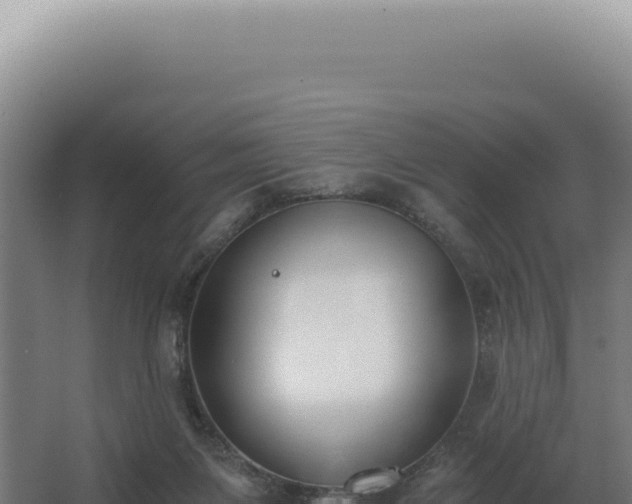 X0000068310119200604281745